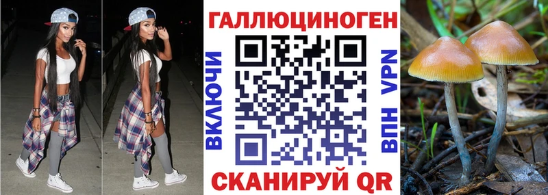 Галлюциногенные грибы Psilocybe  где можно купить   OMG зеркало  Свирск 